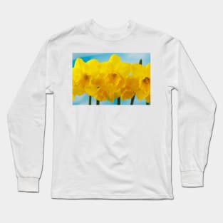 Narcissus  &#39;Quail&#39;  AGM   Division 7  Jonquilla  Daffodil Long Sleeve T-Shirt